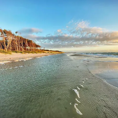 Sonnenblumenhaus 01 Apartmán Prerow