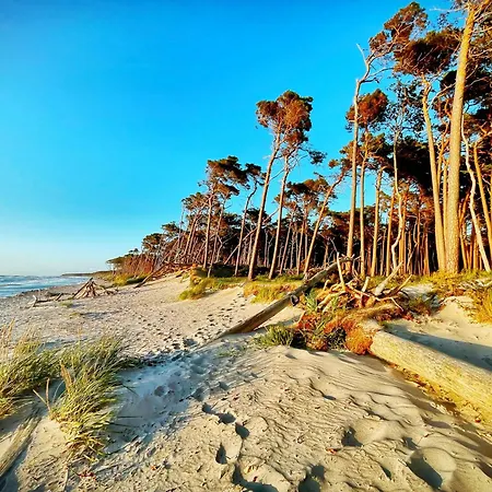 Sonnenblumenhaus 01 Prerow