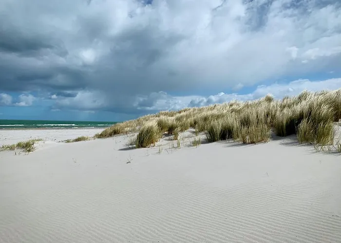 아파트 Sonnenblumenhaus 01 *