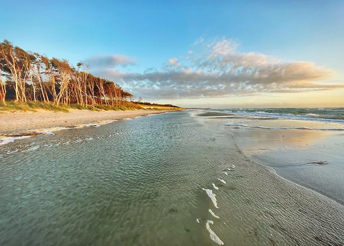 Sonnenblumenhaus 01 아파트 프레로