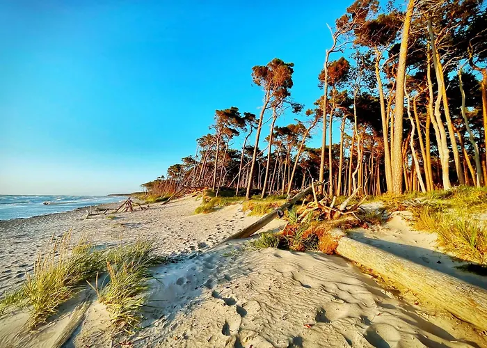 Sonnenblumenhaus 01 프레로